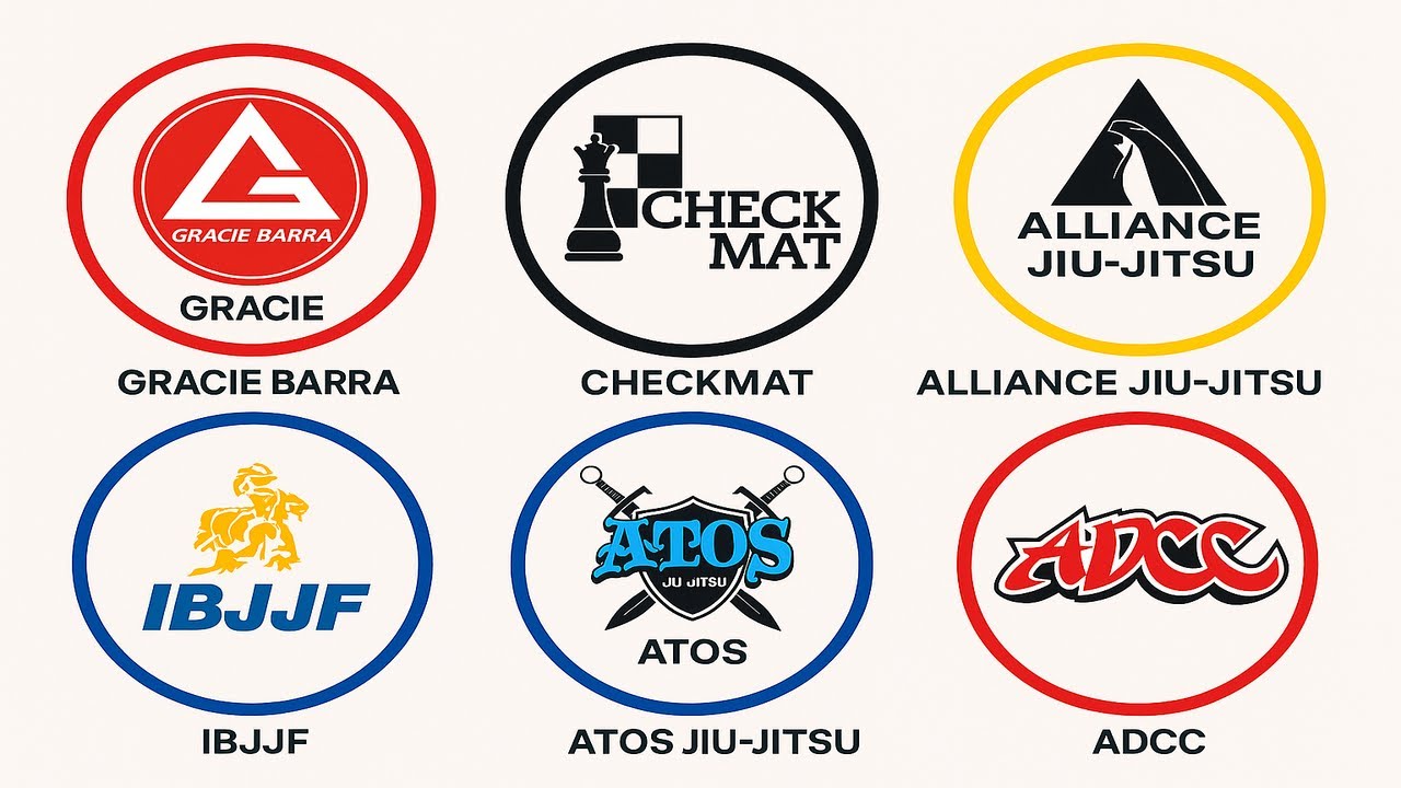 Every Jiu Jitsu School Explained In 13 Minutes