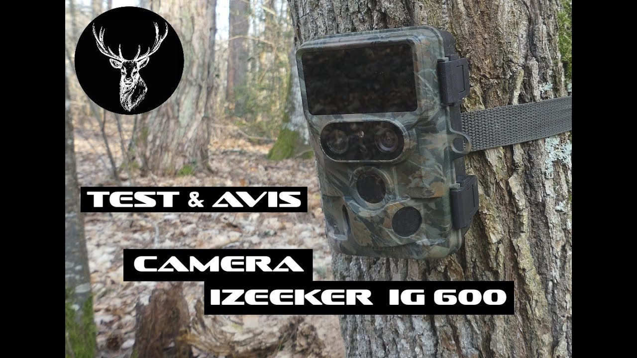 Le Cerf Solognot - Test camera chasse / piége photo izeeker IG 600