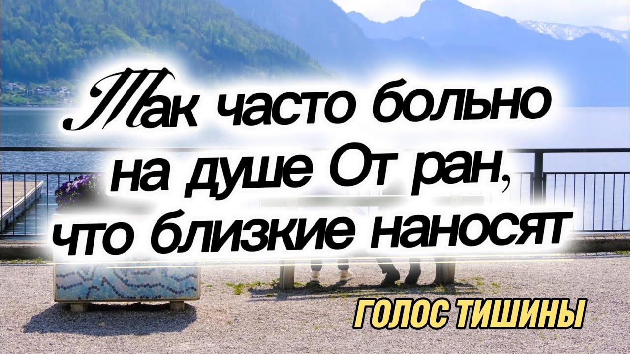 ПЕСНЯ 🎶 