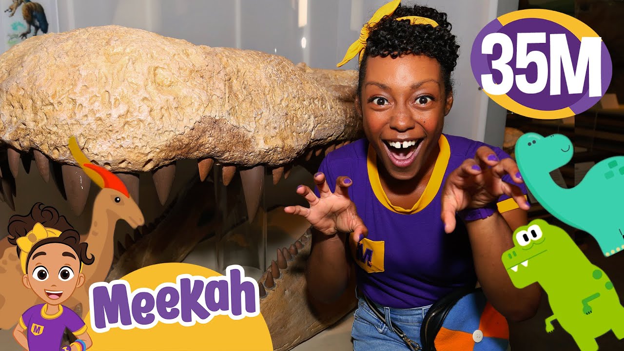 Meekah's Dinosaur Playtime | Educational Videos for Kids | Blippi and Meekah Kids TV