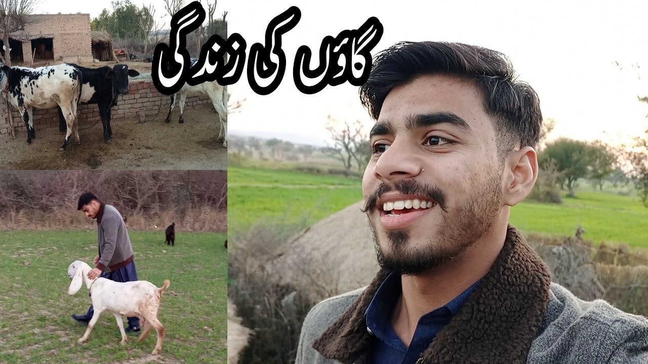 Gaon Ki Zindagi || Desi Lifestyle - First Village Vlog By Mujtaba Habib