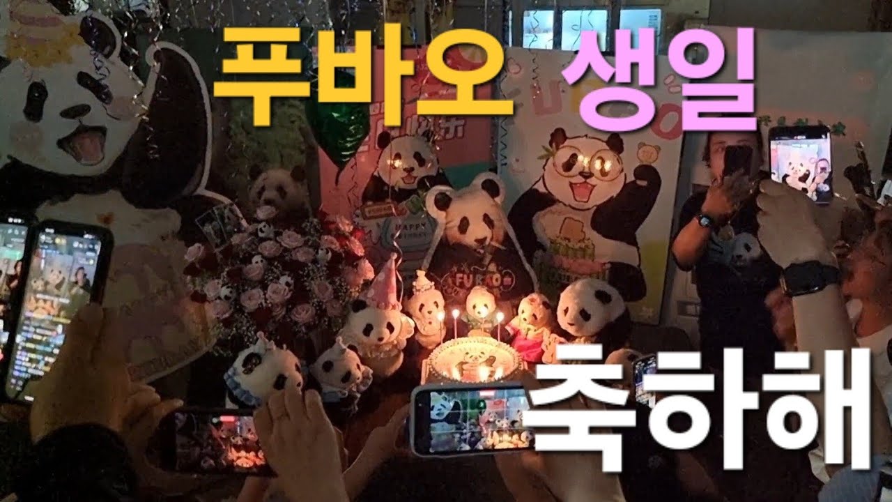 푸바오 4번 째 생일 축하 해~~🎂❤️🐼😆🎉