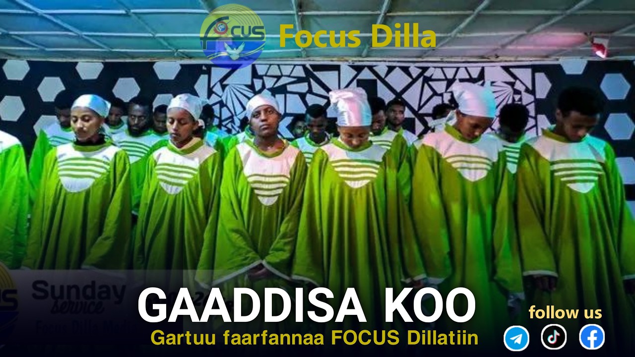 Gartuu Faarfanna FOCUS Dillaa