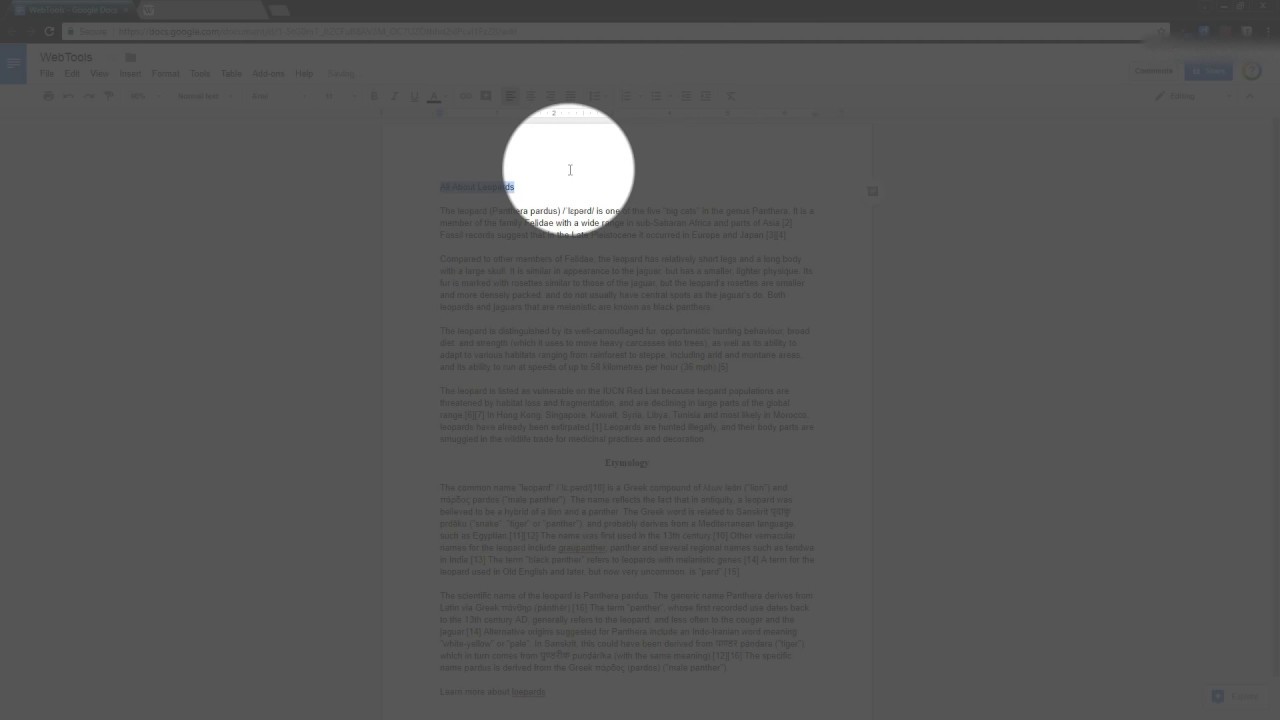 Google Docs Basic Text Formatting