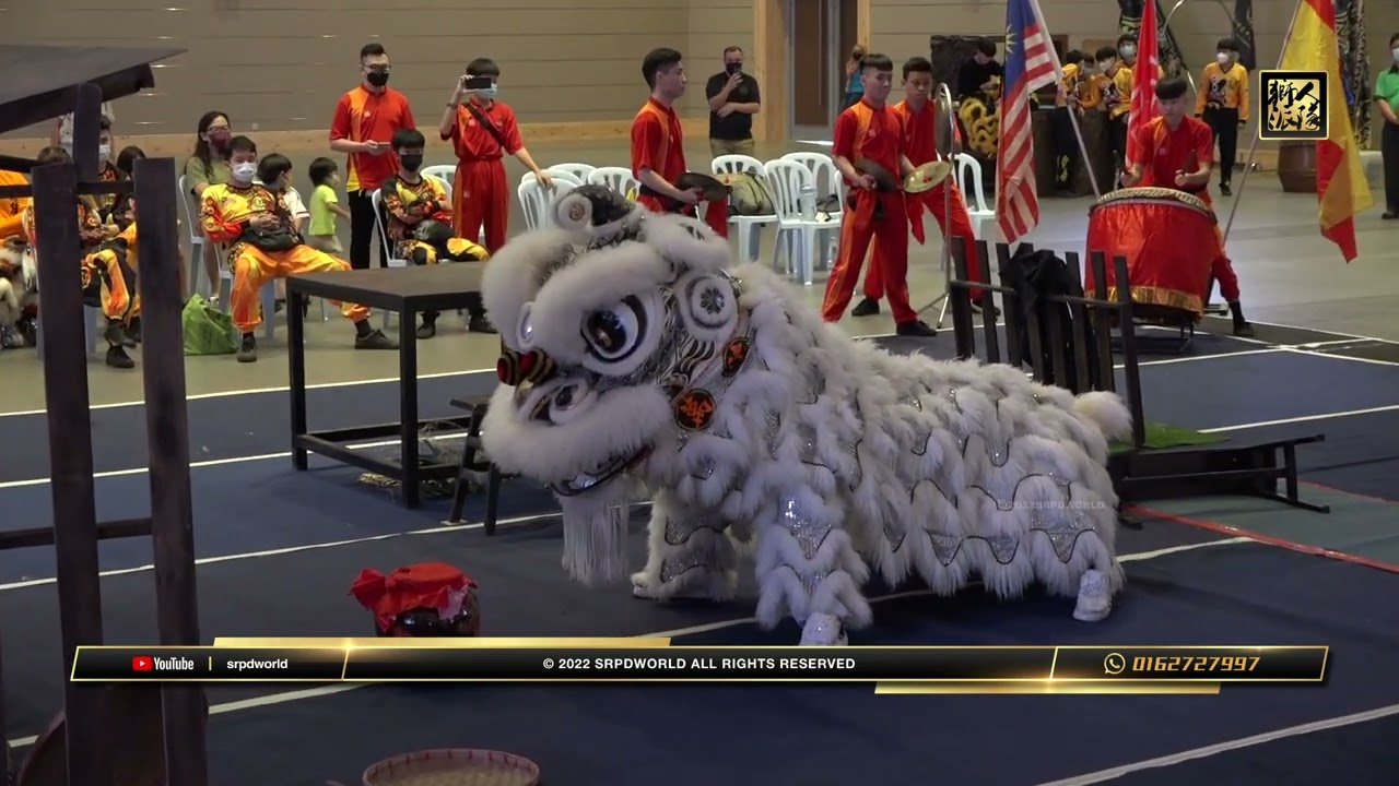 #liondance  萬津關聖宮（弘德）龍獅團