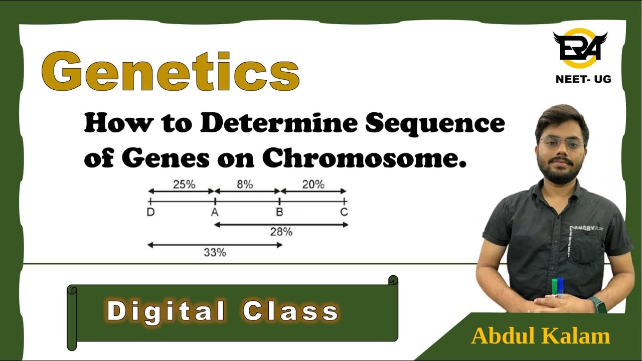 How to determine sequence of gene on chromosome || Two ultimate method solve this question || NEET