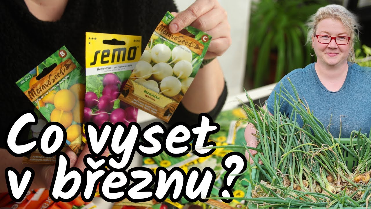 Výsev zeleniny v březnu 👩‍🌾 Co MUSÍTE vyset TEĎ v březnu? 🔔