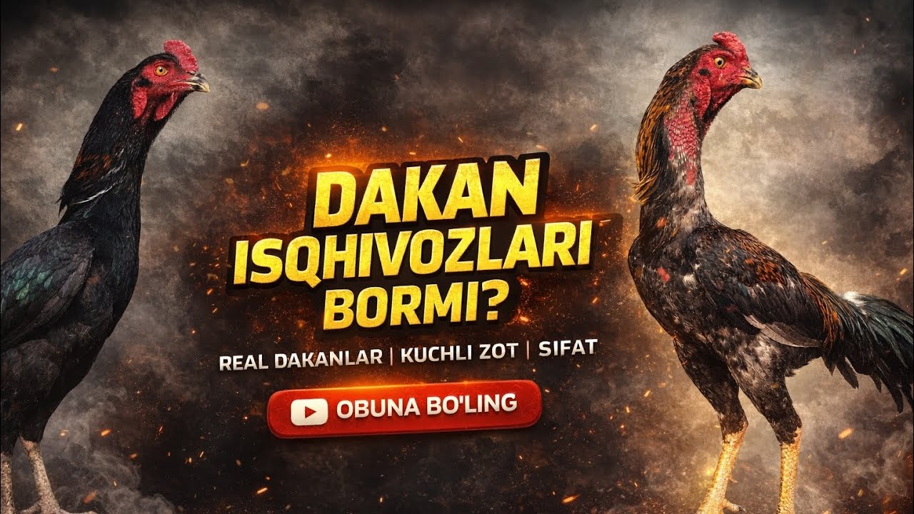Дакан Хороз коллексиаси Томоша килинг
