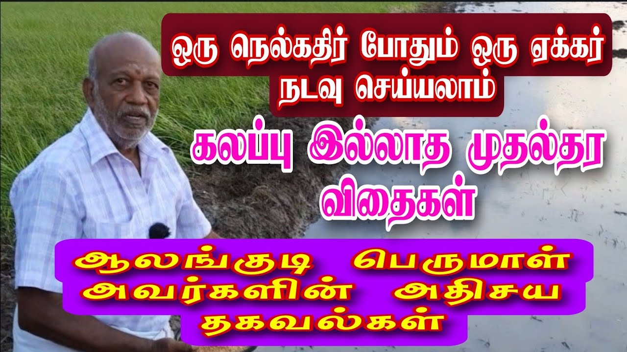ஒரு நெல்கதிர் போதும் ஒரு ஏக்கர் நடவு செய்யலாம்