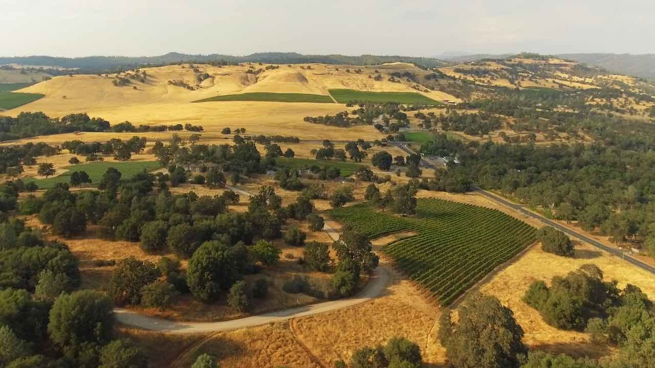 The Hidden Wine of Murphy's in Gold Country