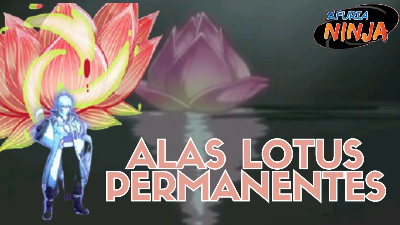 Un video que nadie pidi&oacute; pero que mas da| Lotus Permanentes | Furia Ninja | Unlimited Ninja