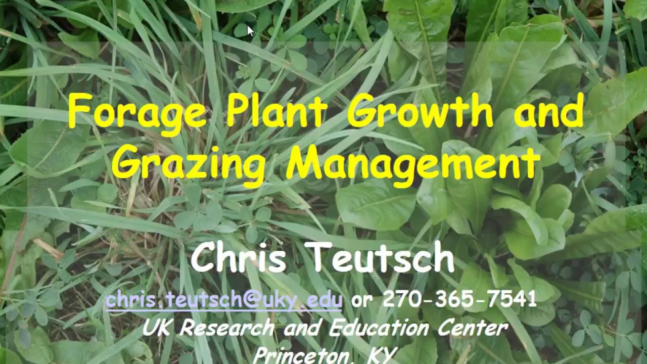 Forage Plant Growth and Grazing Management-Chris Teutsch