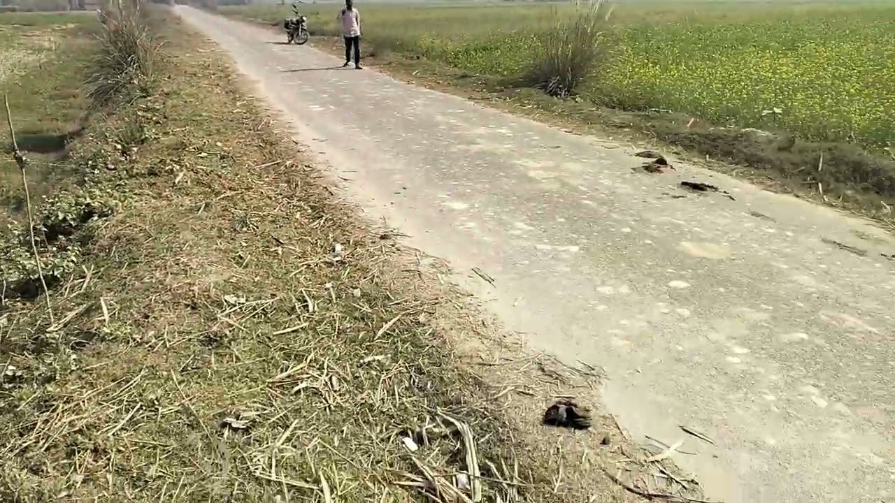 365 बीघा जमीन बिकाऊ है डिमांड 1. लाख 70000 हजार प्रति बीघा मांग है संपर्क 8090291079