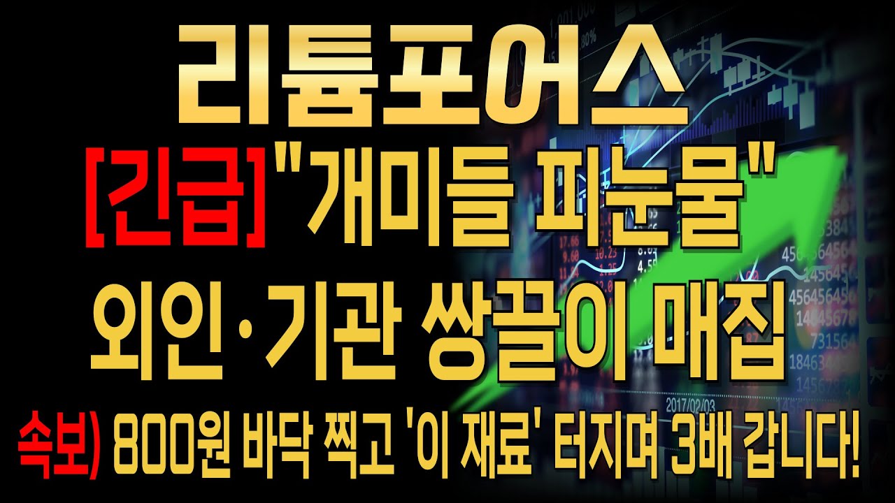 [리튬포어스 주가전망]