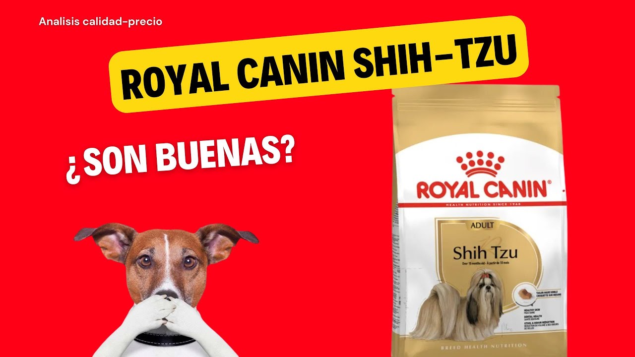 Análisis de alimento para perro: Royal canin Shih tzu