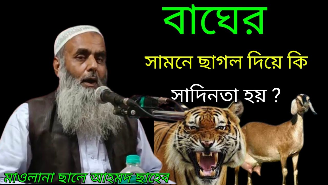 বাঘের সামনে ছাগলের সাদিনতা নতুন ওয়াজ ll Maulana Saleh Ahmed Sahab bangla New waz #islamic#media#