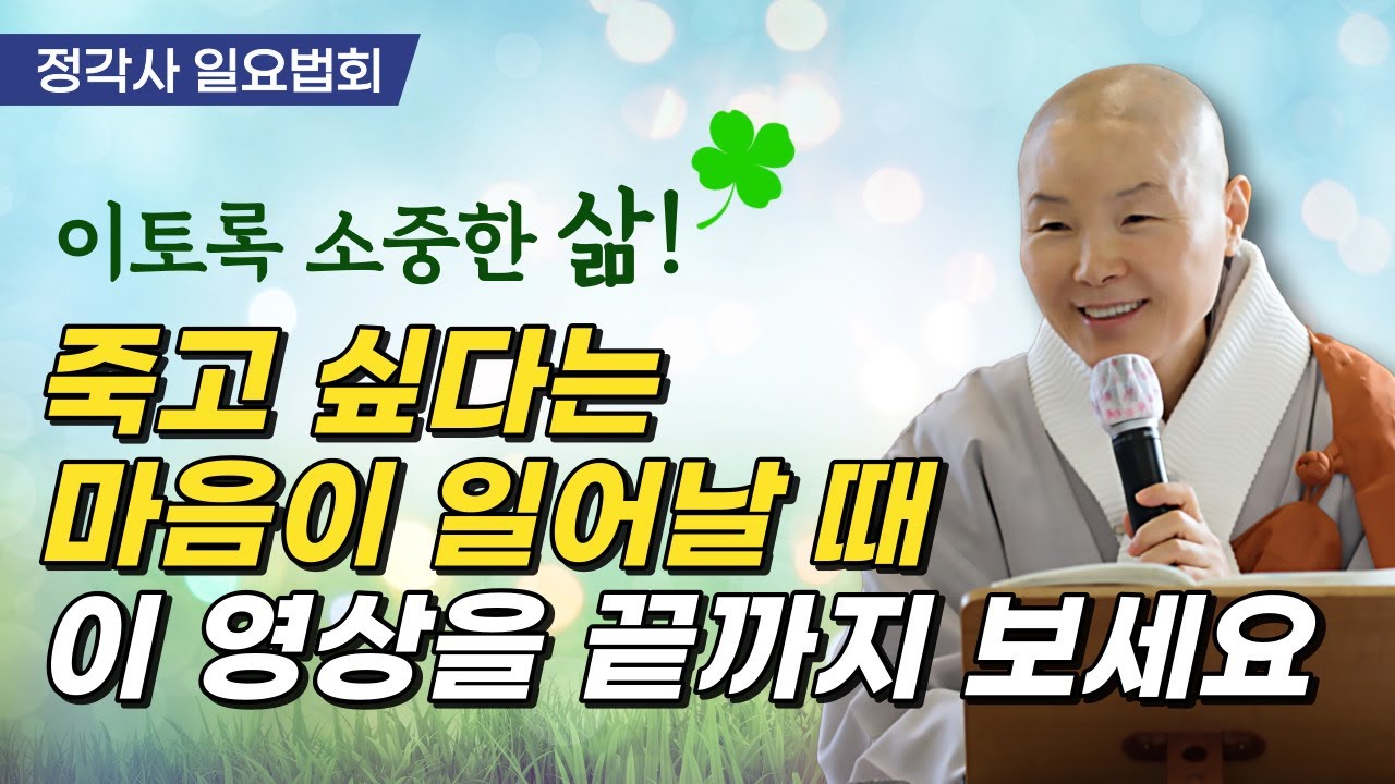 고통을 똑바로 보는 사람은 절대 우울하지 않아요│Viva la vida