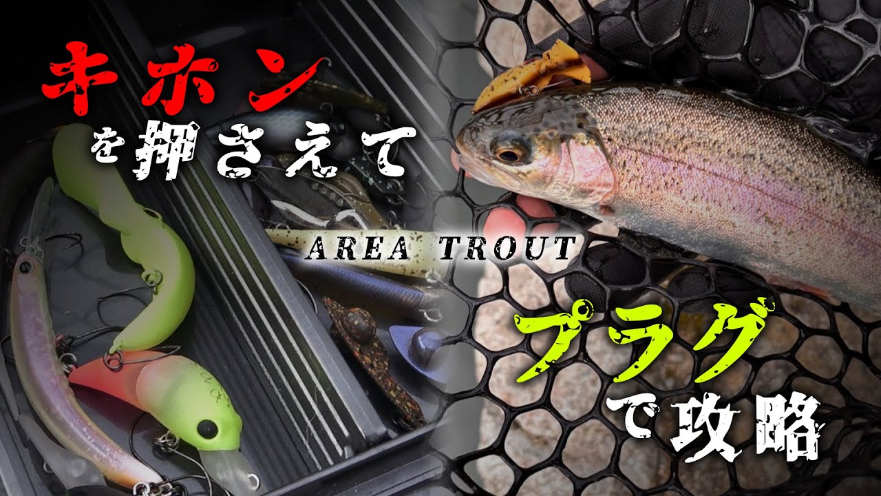 【エリアトラウト】スプーンを使わずプラグで制する in千早川マス釣り場