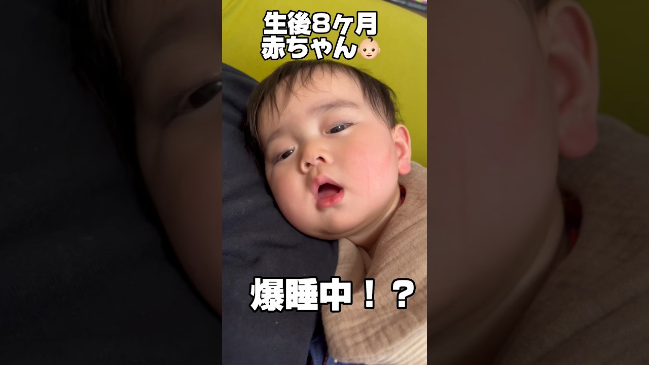 【生後8ヶ月】寝顔が愛おしい赤ちゃん🥹　#shorts #baby #赤ちゃん #かわいい #寝顔 #sleep #cutebaby #育児 #子育て #爆睡 #babygirl #癒し #癒し動画