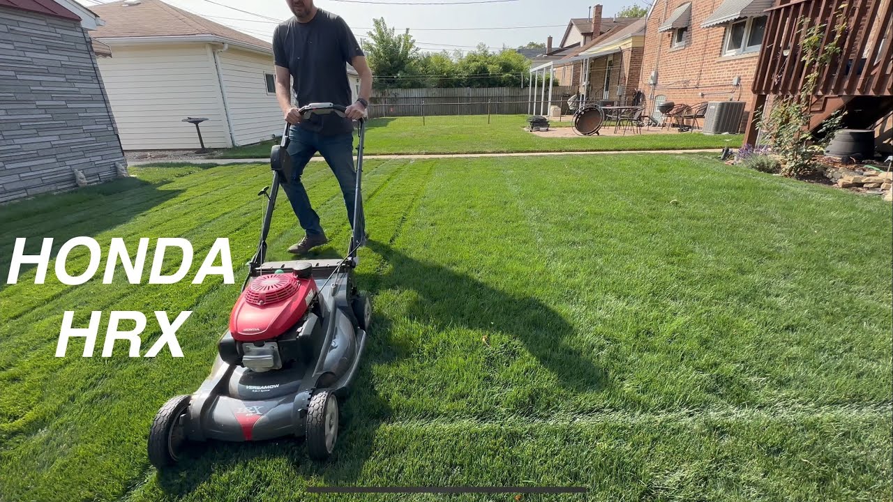 Older Honda HRX Striping 100% Perennial Rye Grass