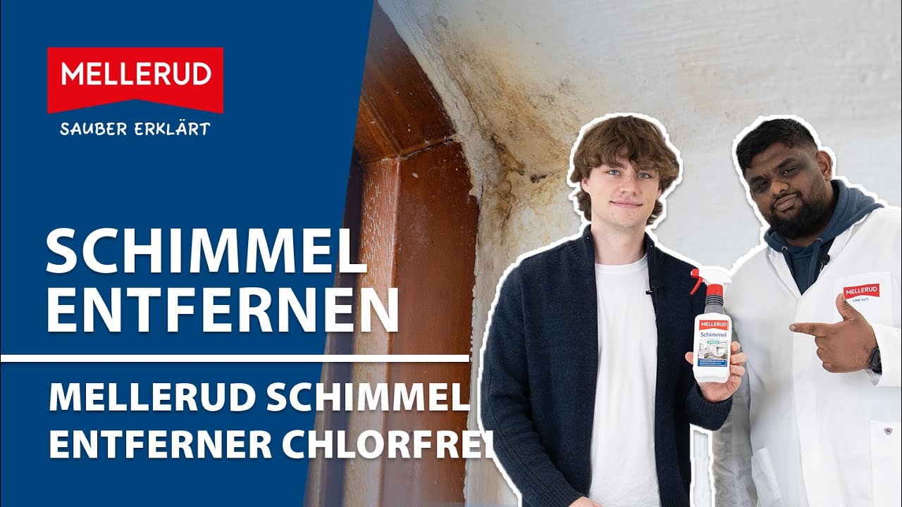 Schimmel entfernen ohne Chlor | MELLERUD Schimmel Entferner Chlorfrei
