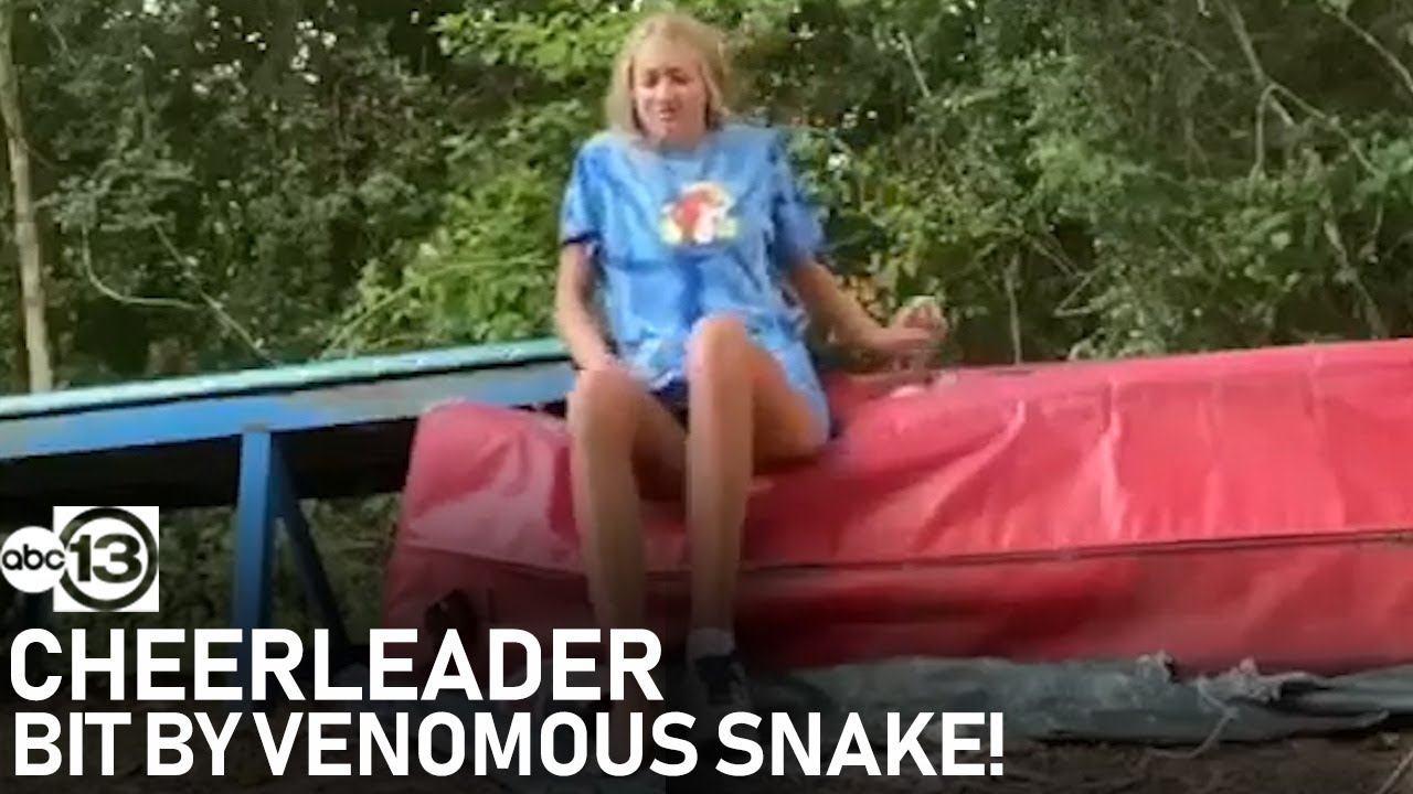 RAW VIDEO: Houston-area cheerleader bit by Copperhead snake while practicing routines in backyard