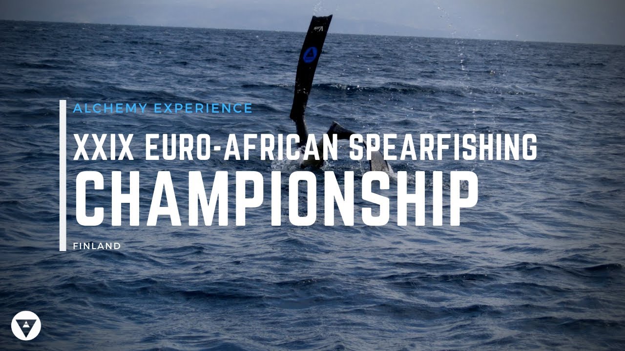Alchemy Spearfishing | XXIX CMAS Euro-African Spearfishing Championship 2013