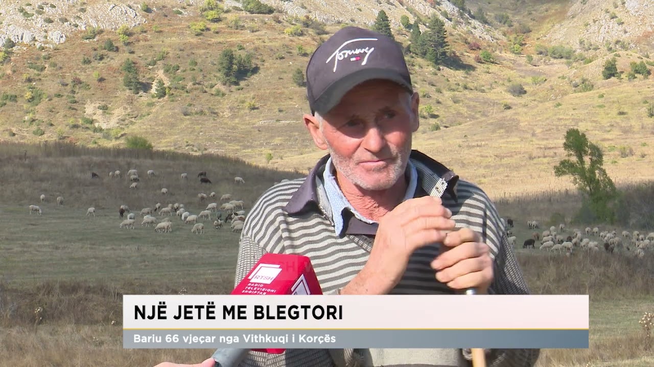 Një jetë me blegtori, bariu 66 vjeçar nga Vithkuqi i Korçës