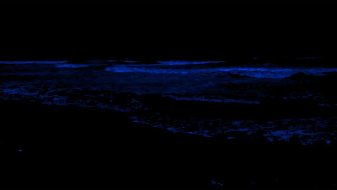 Get Over Stress to Deep Sleep Instantly with Ocean Sounds and Big Waves at Night
