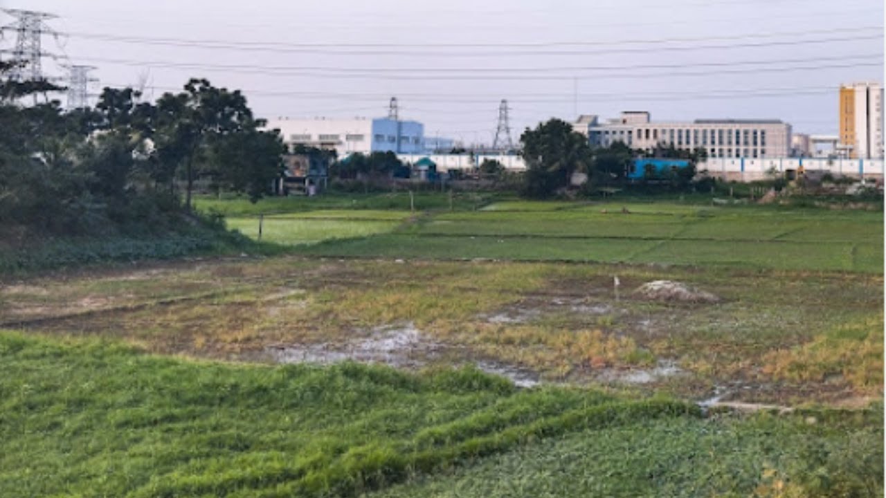 কম দামের জমির শেয়ার বিক্রি হবে। দাসেরকান্দি খিলগাঁও আফতাব নগরের পূর্ব দিকে