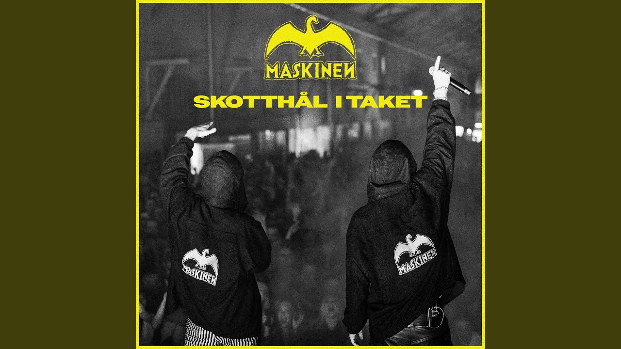 Askkopp