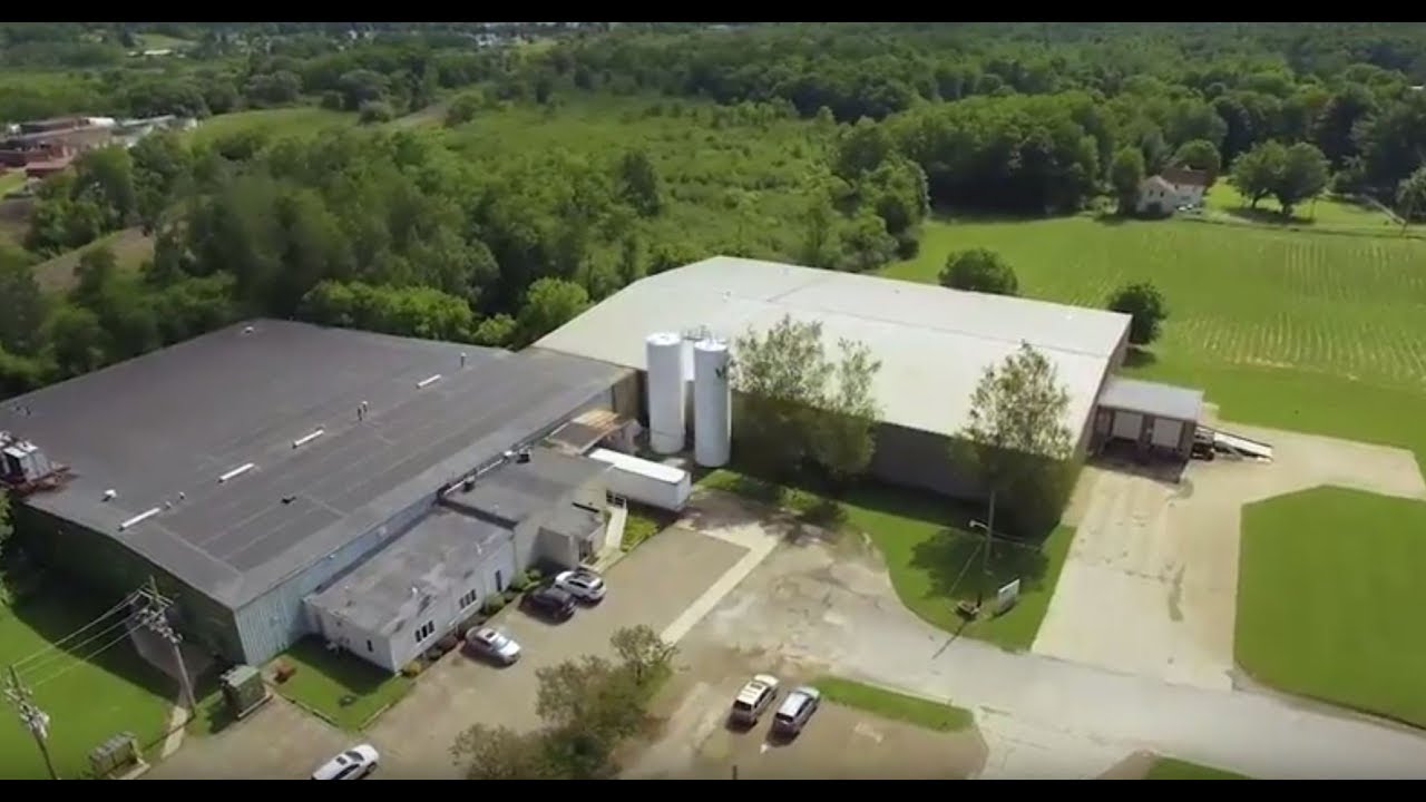 Corporate Video