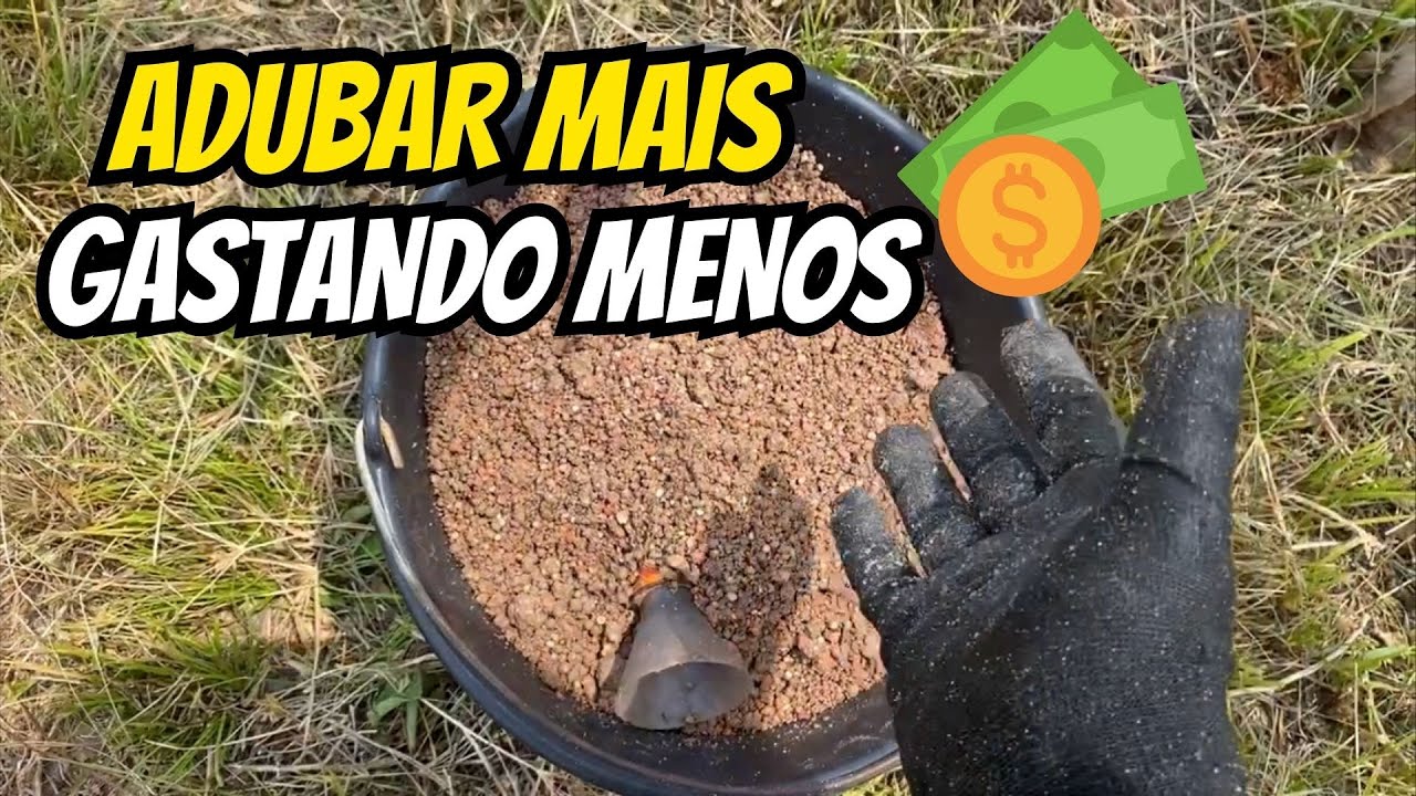 Adubo barato pro açaí - Varredura NPK no plantio de açaí