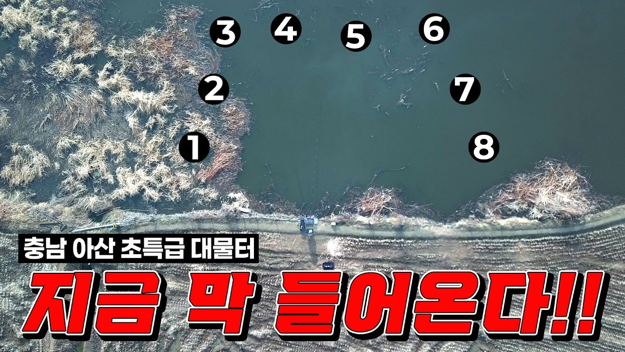 빨리 빨리!! 충남 아산 초특급 대물터!! 작년 4월에 대박쳤던 그곳!! 알자리 보러 들어오는 대물붕어를 잡기위해 상류 쩔은 부들밭으로 들어갔습니다! 문방저수지 덩어리들 들어왔어요