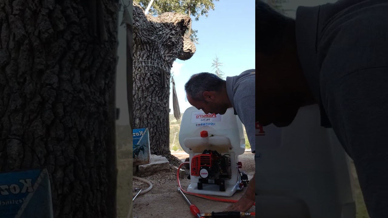 palmera pa 768