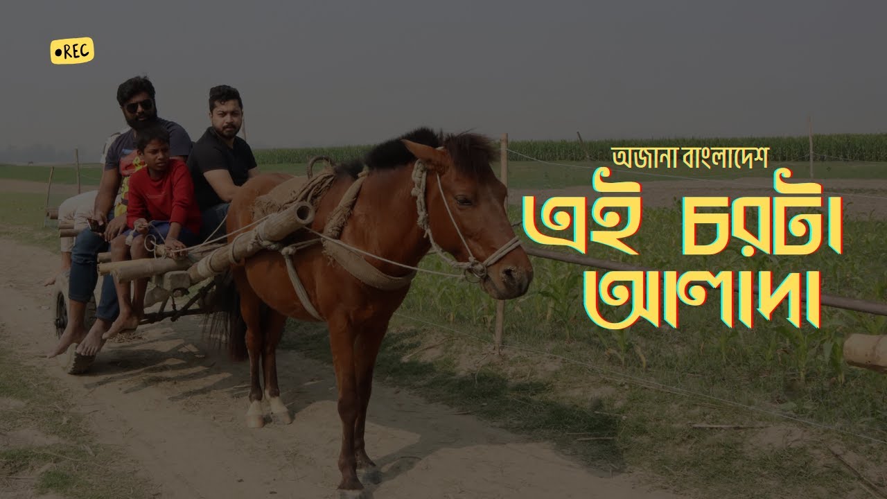 এই চরটা এত সুন্দর, অথচ কেউ জানে না | সারিয়াকান্দি, বগুড়।