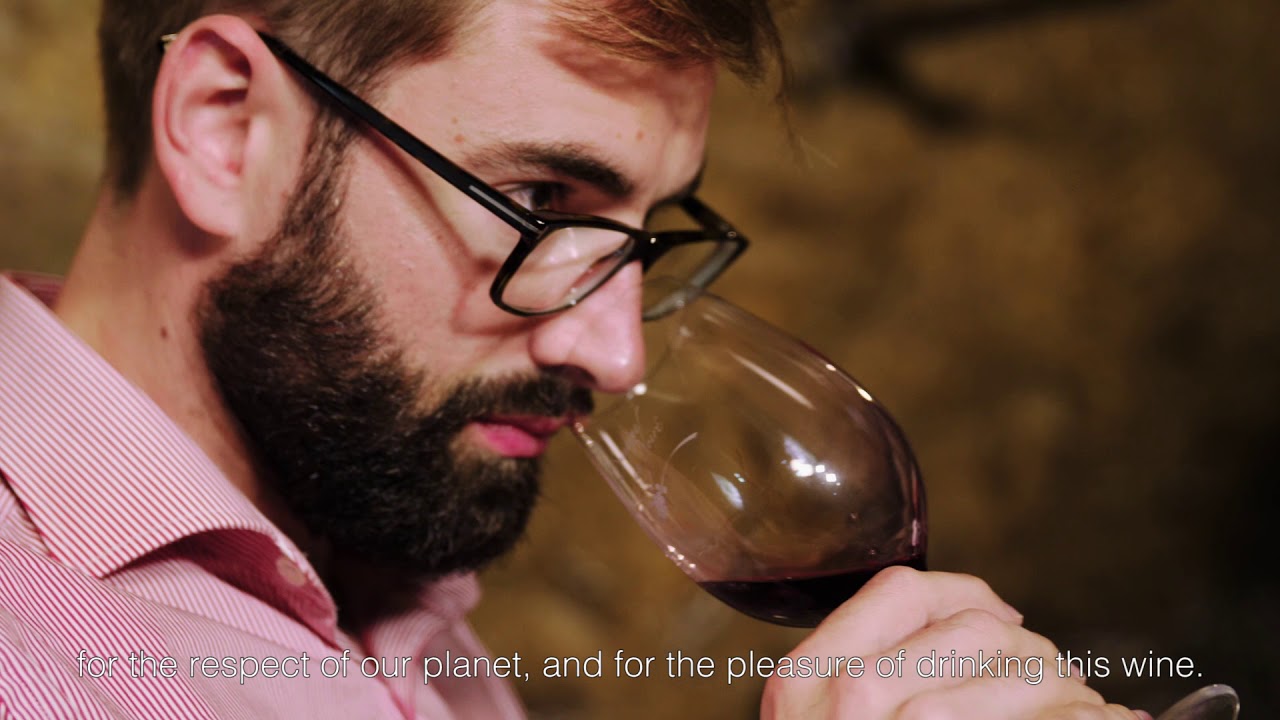 Domaine de Noir&eacute; - Chinon