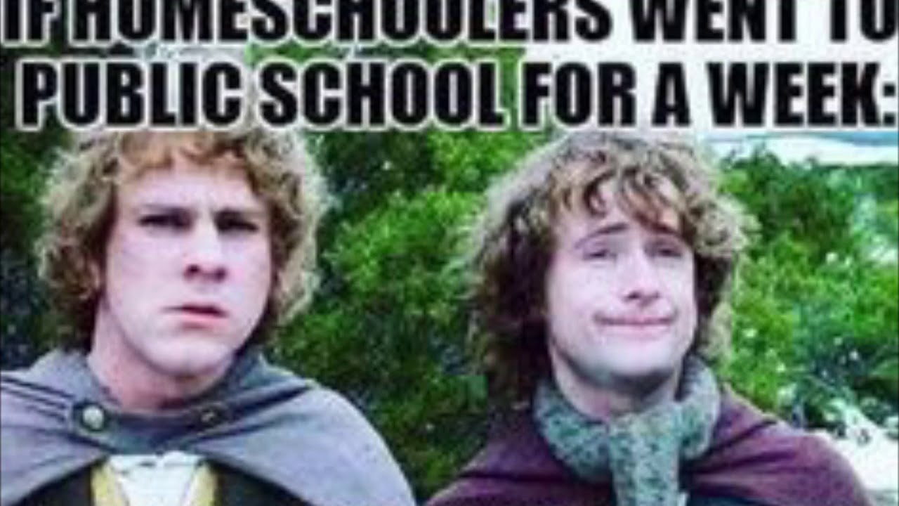 Homeschool Memes