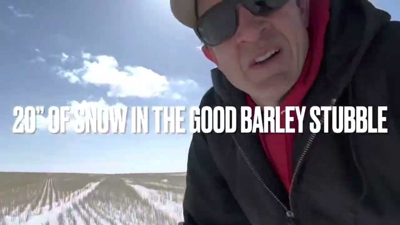 Different stubble height and snow catch - stripper header for the win on this one