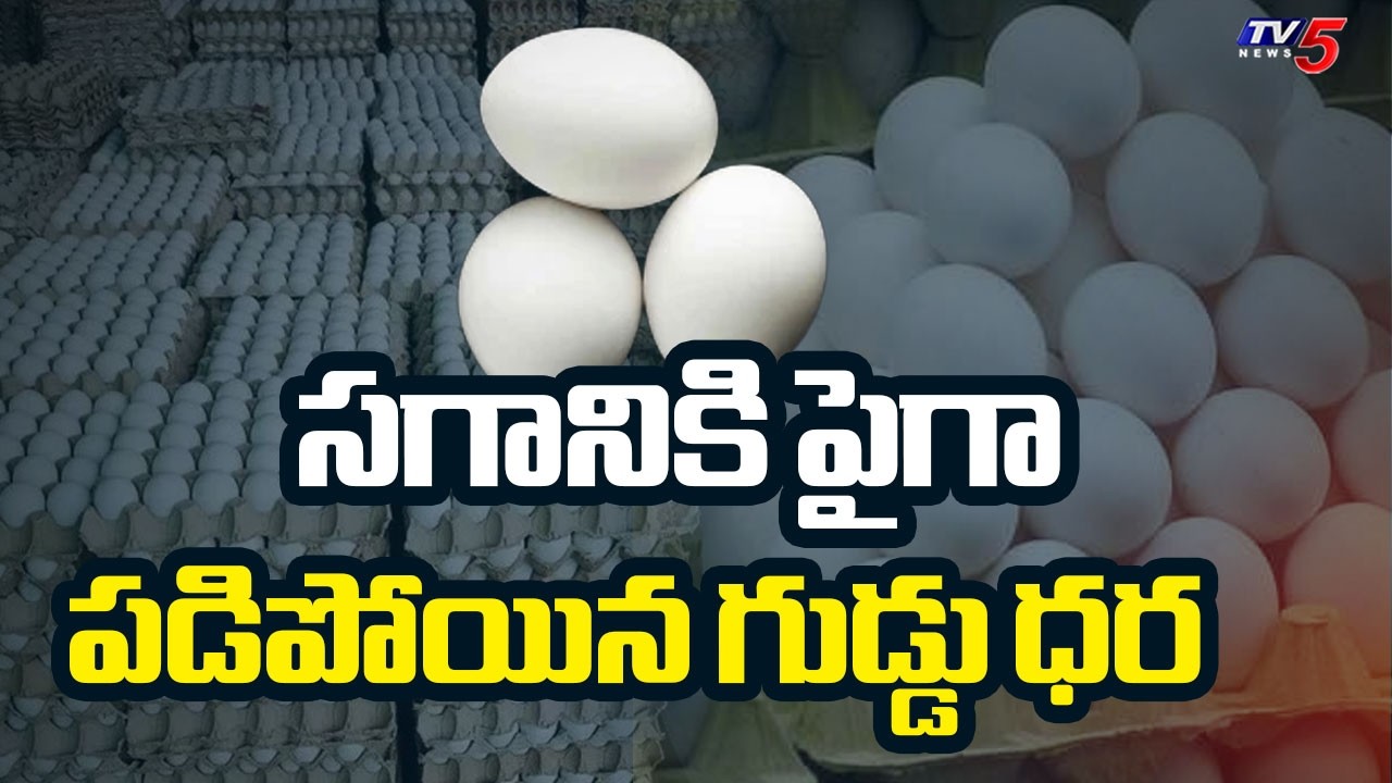 Eggs Price Fall As Exports Stop To Gulf Nations | Iran US Israel War || TV5 News