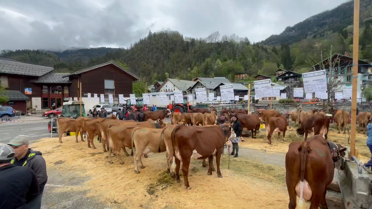 Agriculture : Comice agricole du Beaufortain