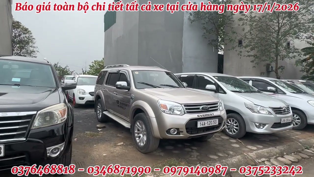 Báo giá toàn bộ chi tiết tất cả xe tại cửa hàng ngày 17/1/2026
