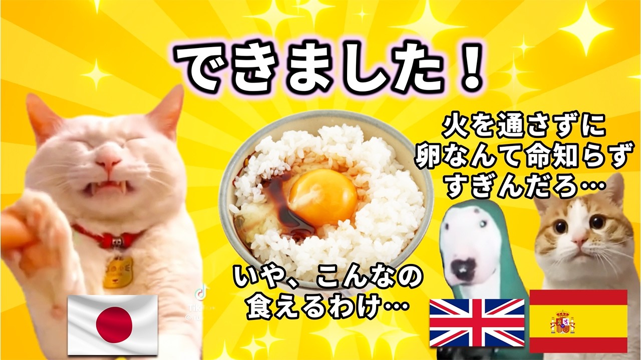 【毒物さえも魔改造】無人島で外国人を救った日本食とは？#猫マニ #猫ミーム