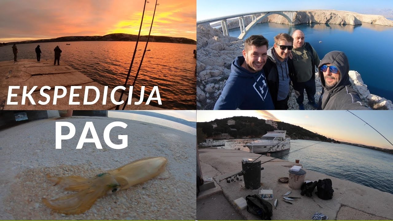 Lignje, šaruni i Savski špineri!