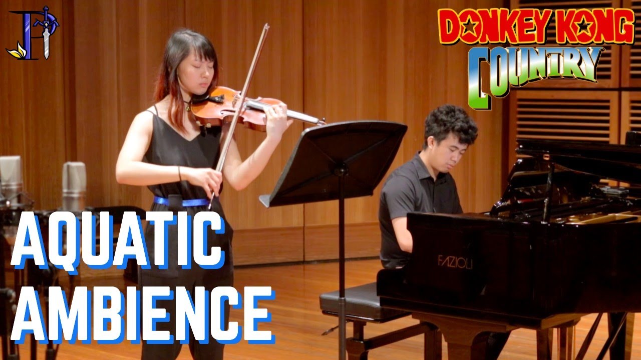 Aquatic Ambience: Donkey Kong Country; Piano and Violin Cover | PitTan Ft. Zorsy