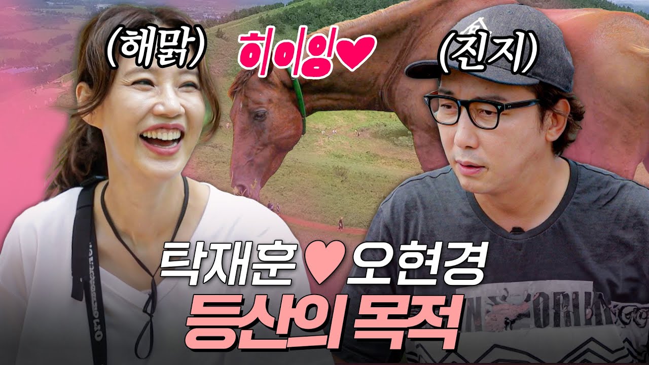 탁재훈♡오현경 여행사 비즈니스 그 첫 관문! 그날 오름에서 생긴 일 | #우리다시사랑할수있을까 #탁재훈 #오현경 #김수로