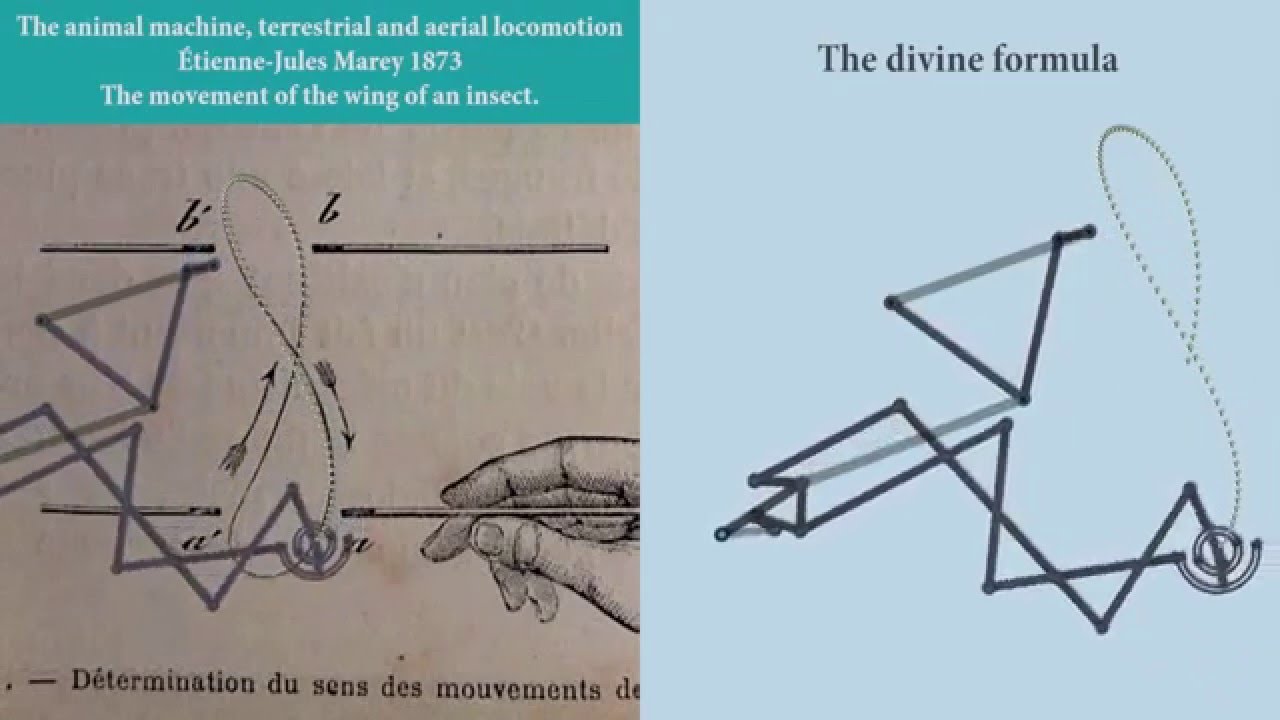 Task 6.1.2 : The divine formula