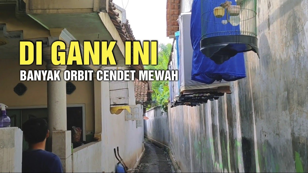 Gak nyangka di gank ini banyak cendet mewah