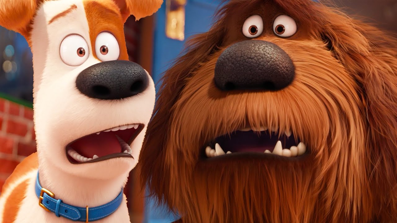 El nuevo hermano de Max 😨 | La Vida Secreta de tus Mascotas | Dibujos Animados en Español