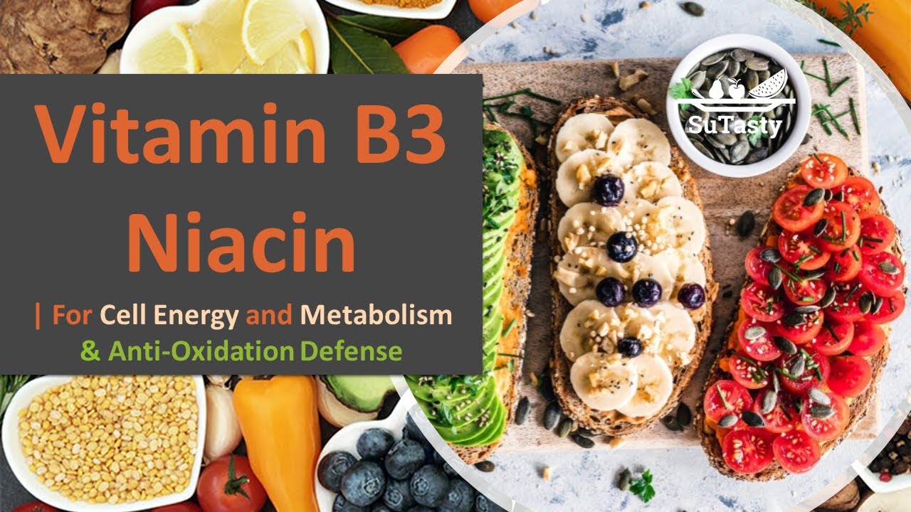 Vitamin B3, Niacin | for Cell Energy & Anti-Oxidation Defense | B Vitamins Series | Episode 4